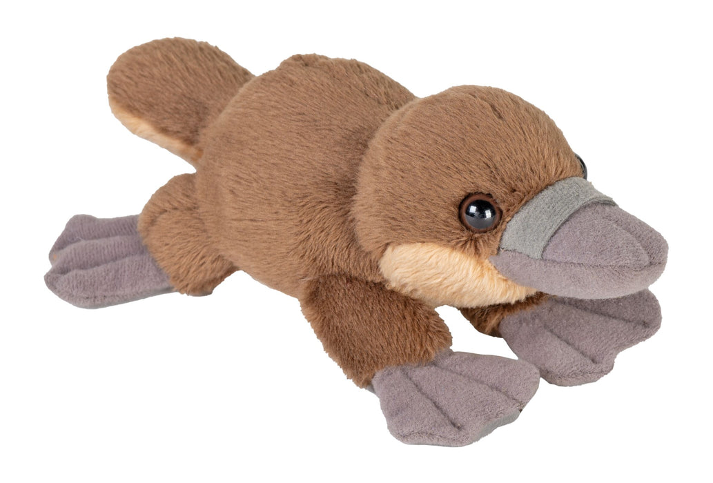 Pocketkins Platypus