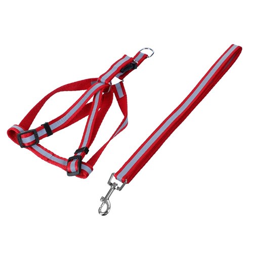 Reflective Lead & Harness
