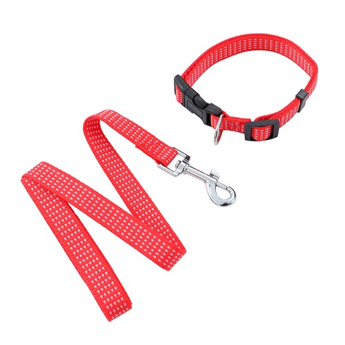Collar & Lead Set
