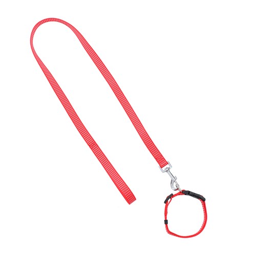 Collar & Lead Set