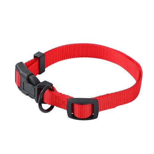 Dog Collar Essentials Small