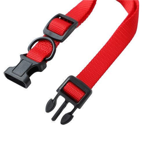 Dog Collar Essentials Small
