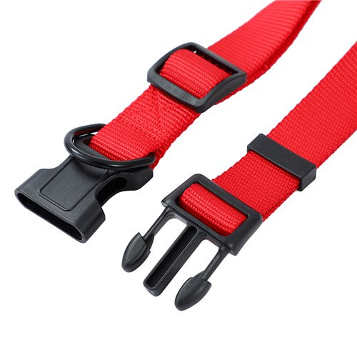 Dog Collar Essentials Large
