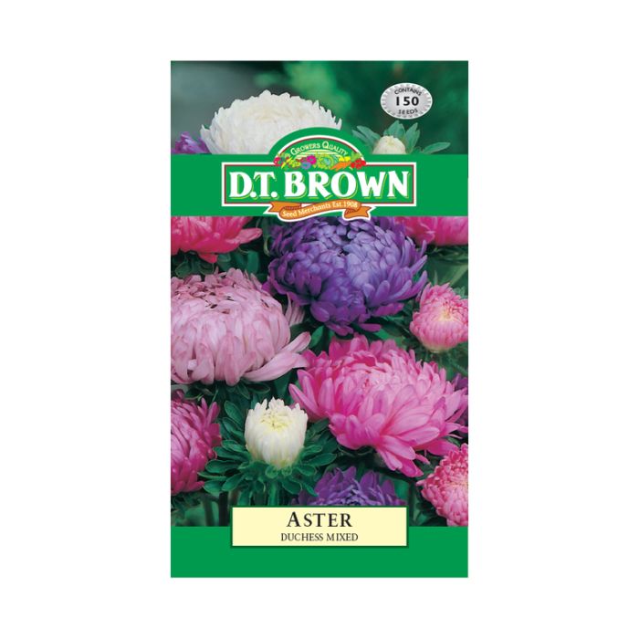 DT Brown Seeds Aster Duchess