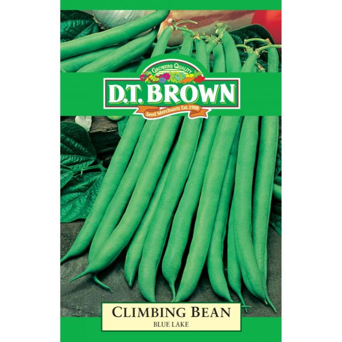 DT Brown Seeds Climbing Bean Blue Lake