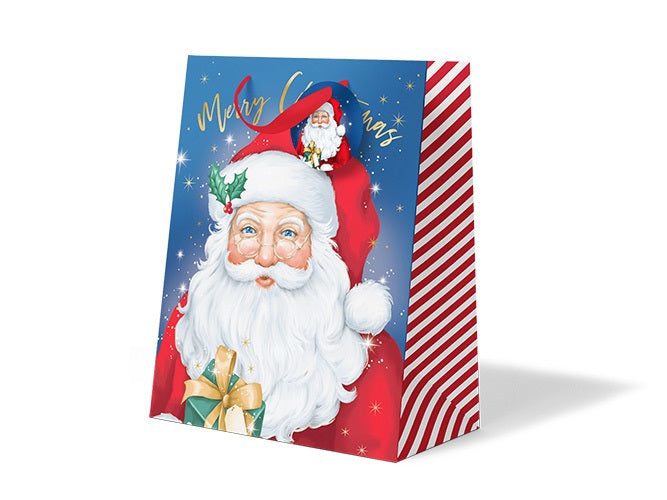 Christmas Gift Bag Medium Santa
