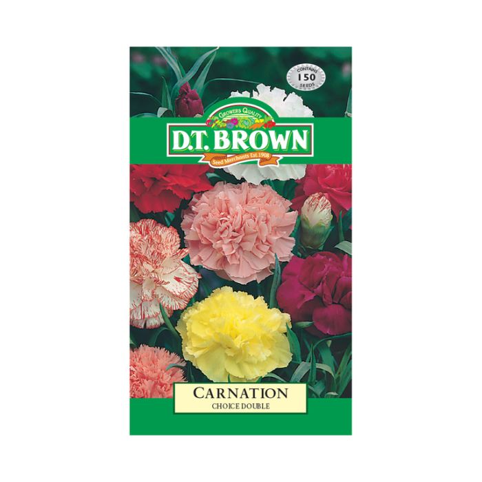 DT Brown Seeds Carnatation Choice Double