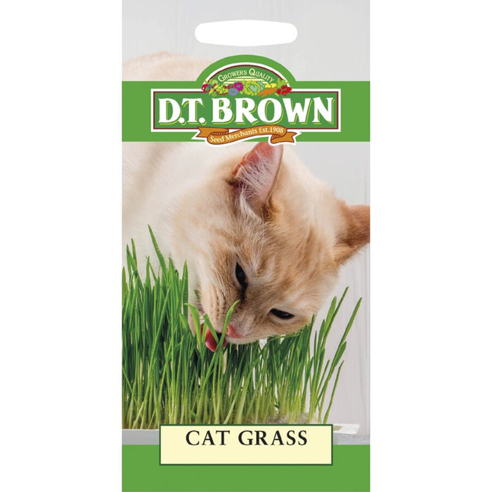 DT Brown Seeds Cat Grass