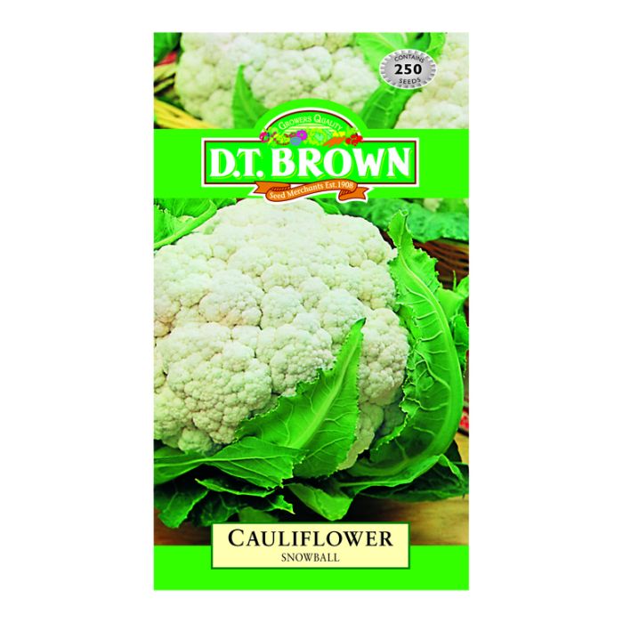 DT Brown Seeds Cauliflower Snow Ball