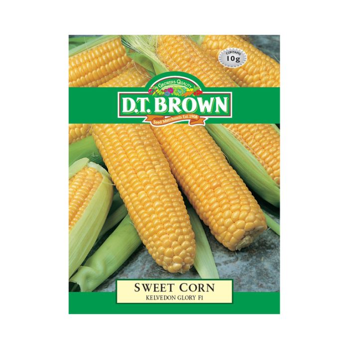 DT Brown Seeds Sweet Corn Kelvedon