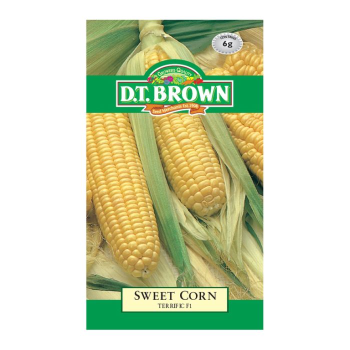 DT Brown Seeds Sweet Corn Terrific