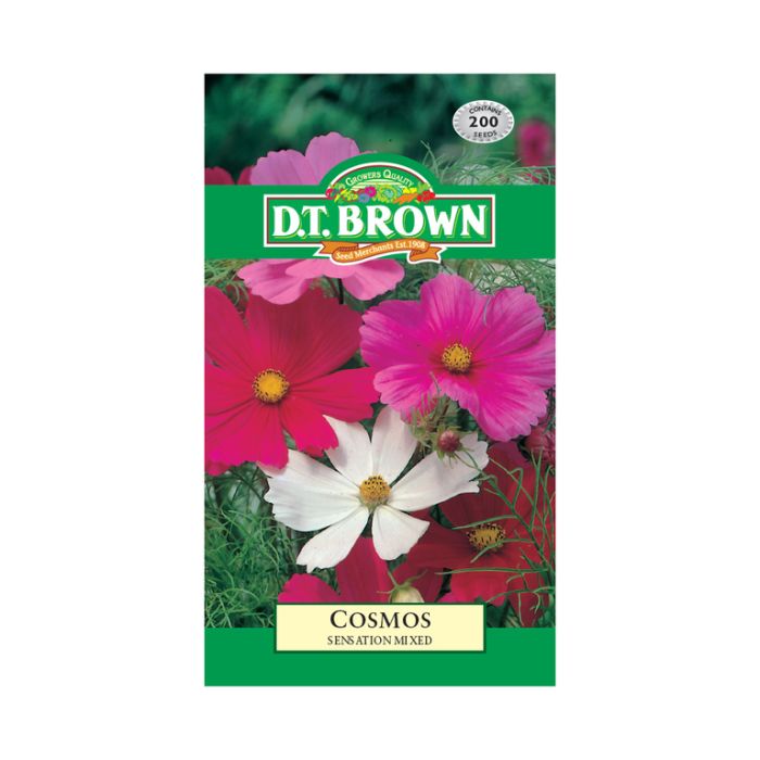 DT Brown Seeds Cosmos Sensation