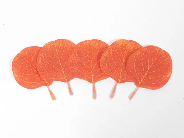 Craft Leaves 12pk