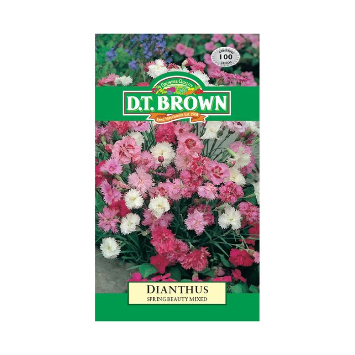 DT Brown Seeds Dianthus Spring Beauty