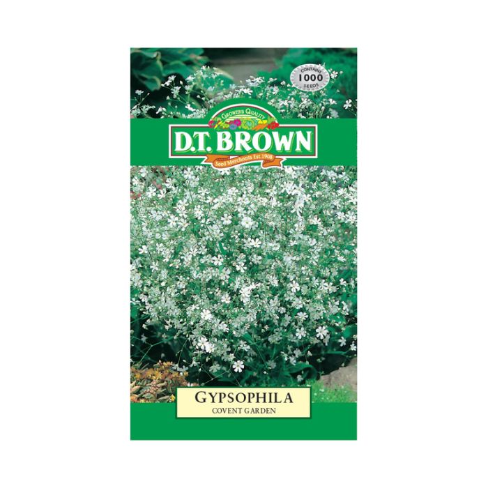 DT Brown Seeds Gypsophilia Covent Garden
