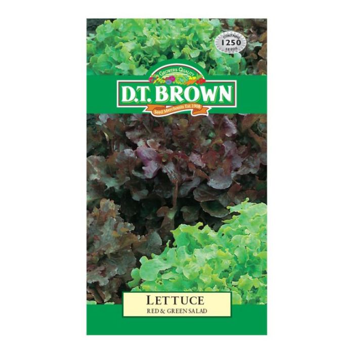 DT Brown Seeds Lettuce Red Green Salad