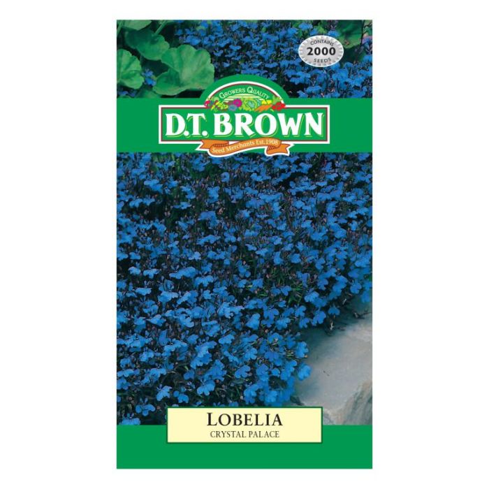 DT Brown Seeds Lobelia Crystal Palace