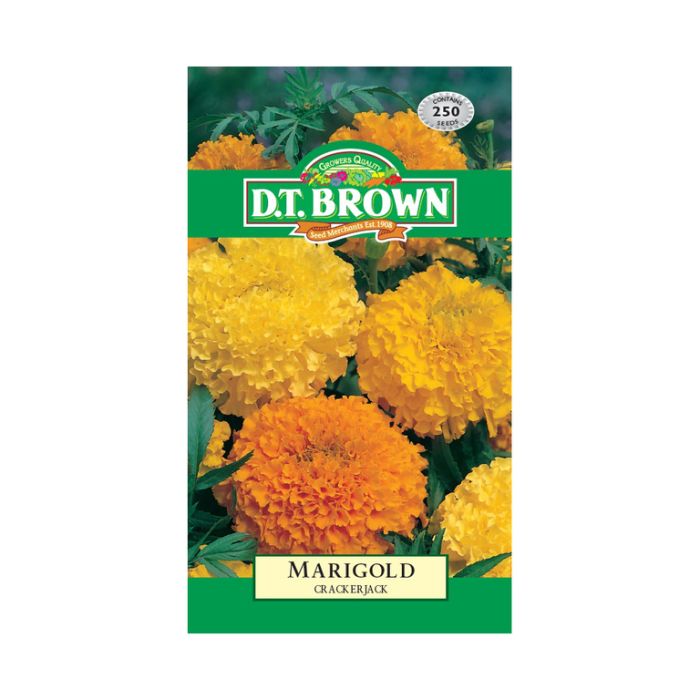 DT Brown Seeds Marigold Crackerjack