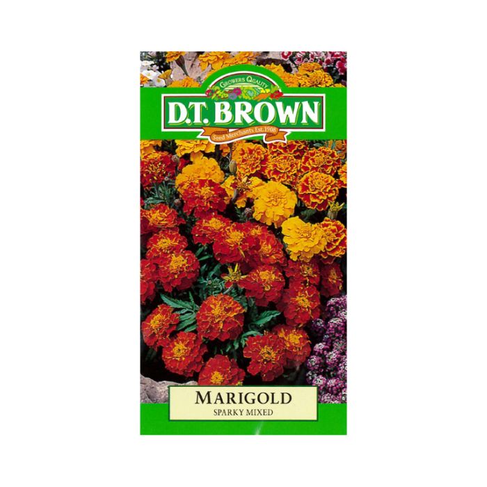 DT Brown Seeds Marigold Sparky Mixed