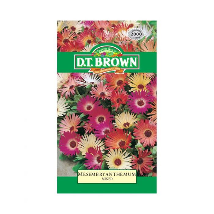 DT Brown Seeds Mesembryanthemum