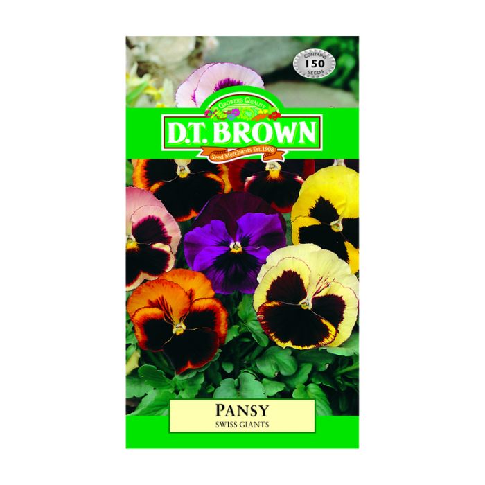 DT Brown Seeds Pansy Swiss Giants