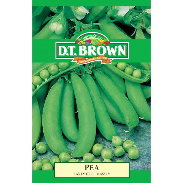 DT Brown Seeds Pea Early Crop Massey