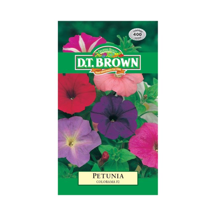 DT Brown Seeds Petunia Colorama