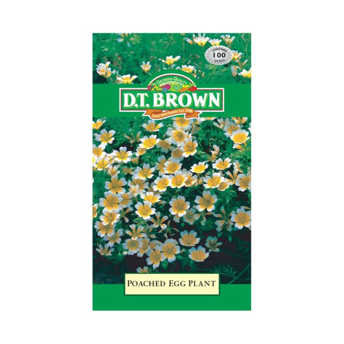 DT Brown Seeds Poached Egg Plant