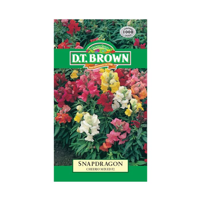 DT Brown Seeds Snapdragon Cheerio