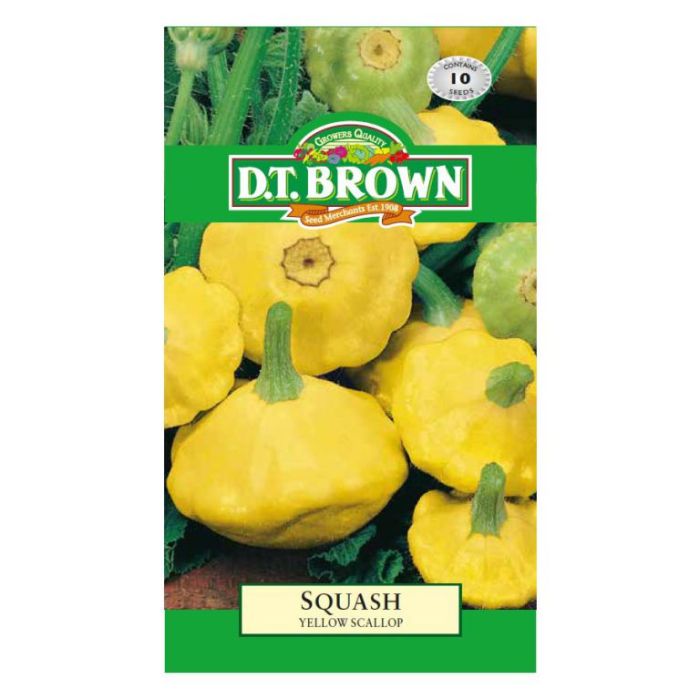 DT Brown Seeds Squash Yellow