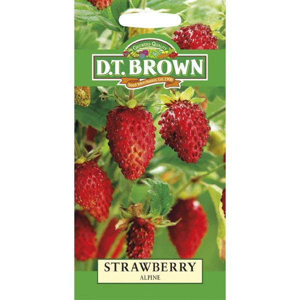 DT Brown Seeds Strawberry Alpine