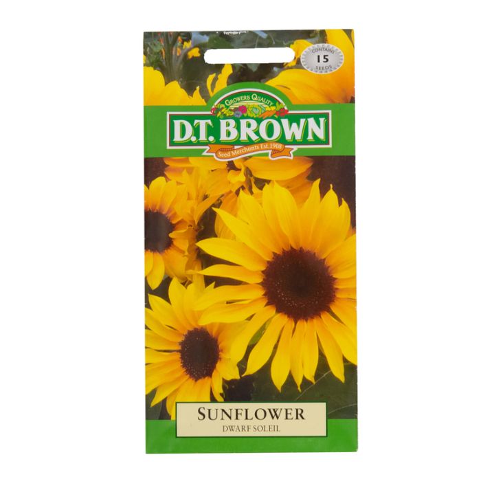 DT Brown Seeds Sunflower Dwarf