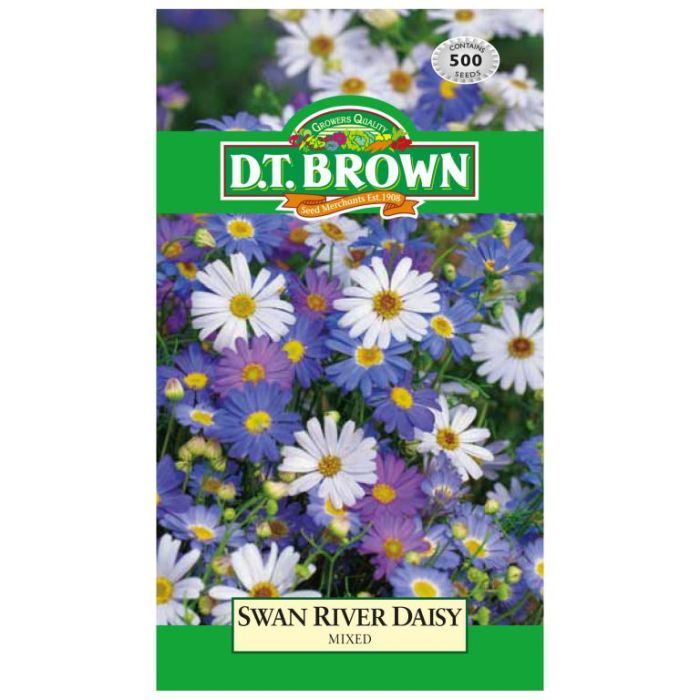 DT Brown Seeds Swan River Daisy