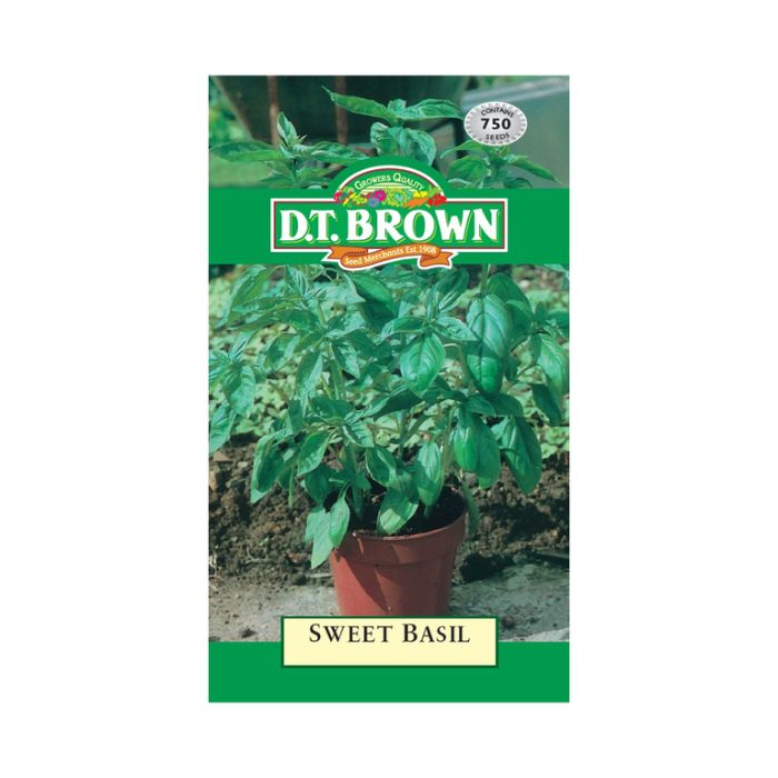 DT Brown Seeds Sweet Basil