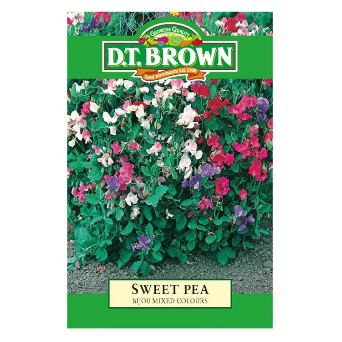 DT Brown Seeds Sweet Pea Bijou