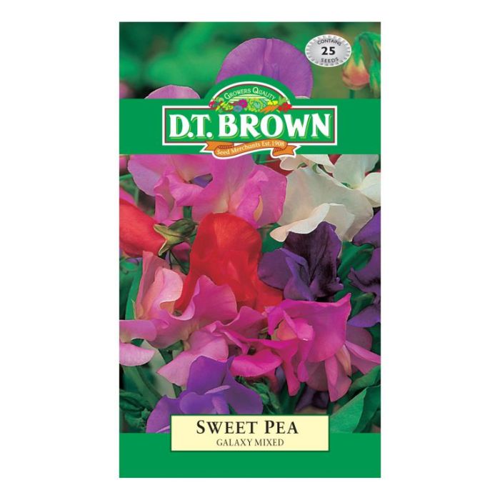 DT Brown Seeds Sweet Pea Galaxy