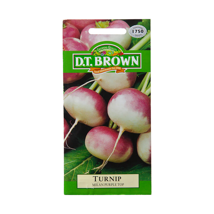 DT Brown Seeds Turnip Milan Purple