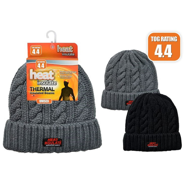 Beanie Heat Insulated Cable Knit