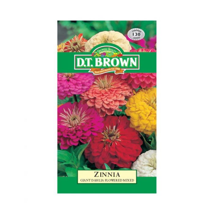 DT Brown Seeds Zinnia Giant Dahlia