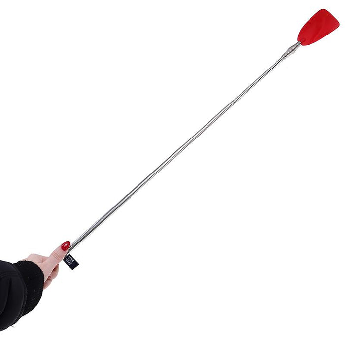 Shoe Horn Extendable