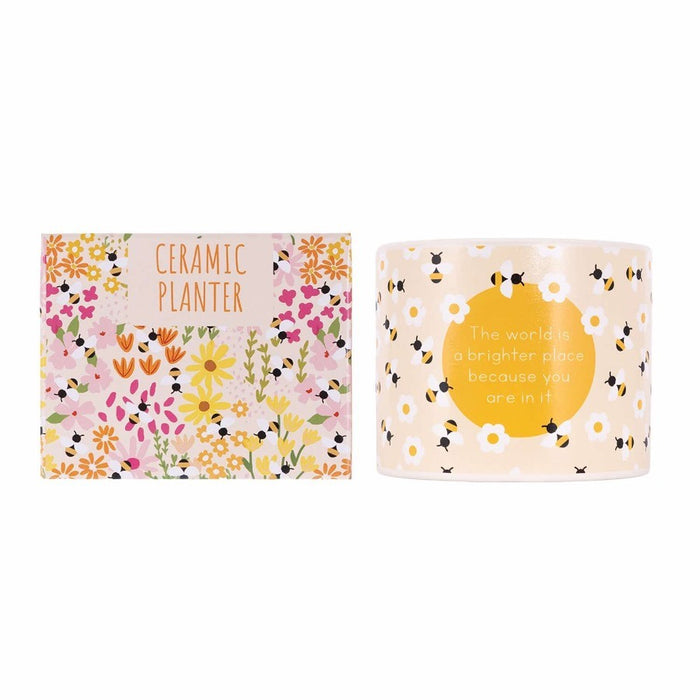 Home Grown Bee Plant Pot