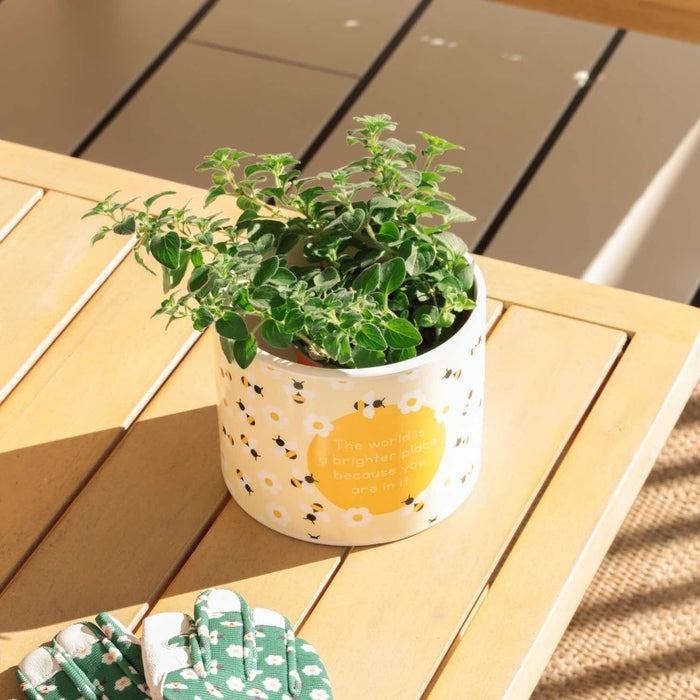 Home Grown Bee Plant Pot